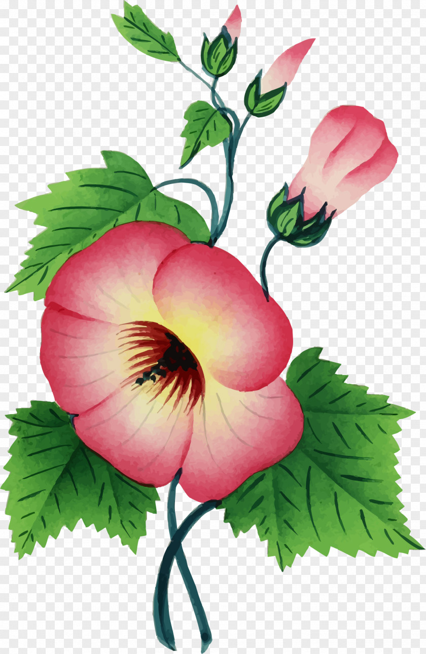 Flower Vector Graphics Illustration Clip Art Floral Design PNG