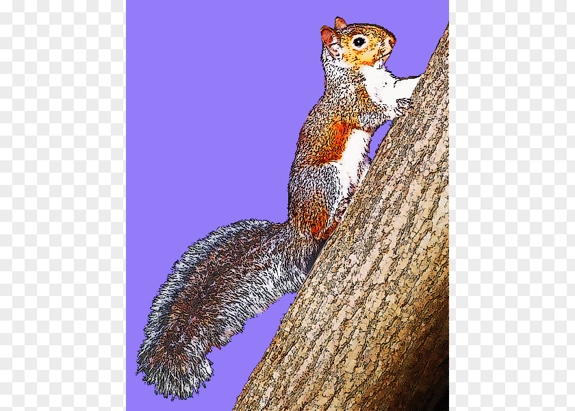Grey Squirrel Eastern Gray Clip Art Openclipart Free Content PNG