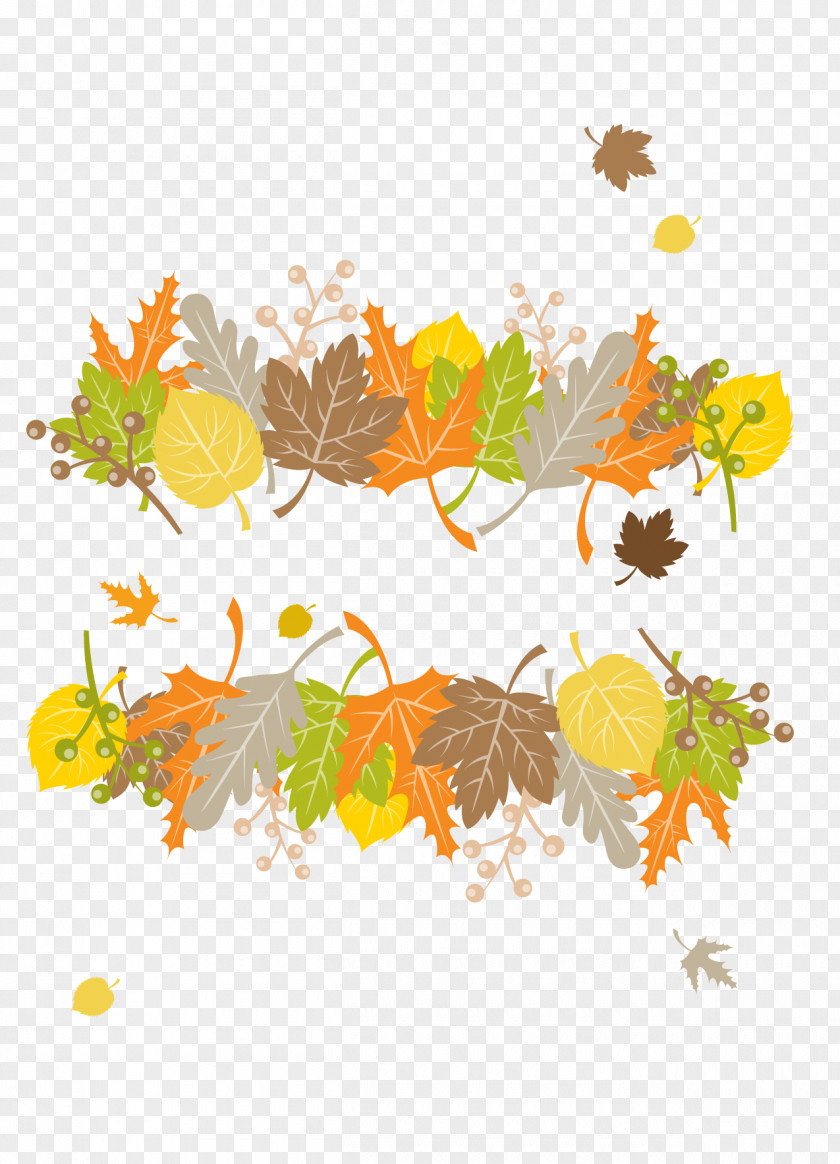 Hand Painted Autumn Leaves Vector Euclidean Leaf PNG
