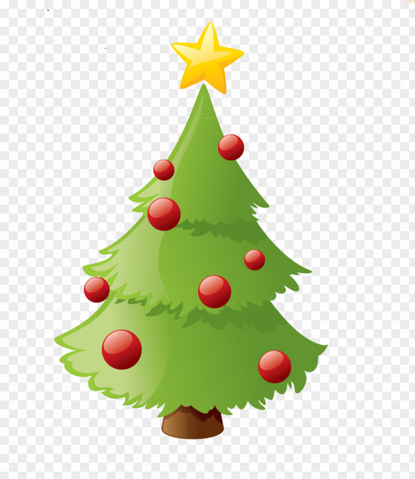 Holly Christmas Eve Family Tree Design PNG