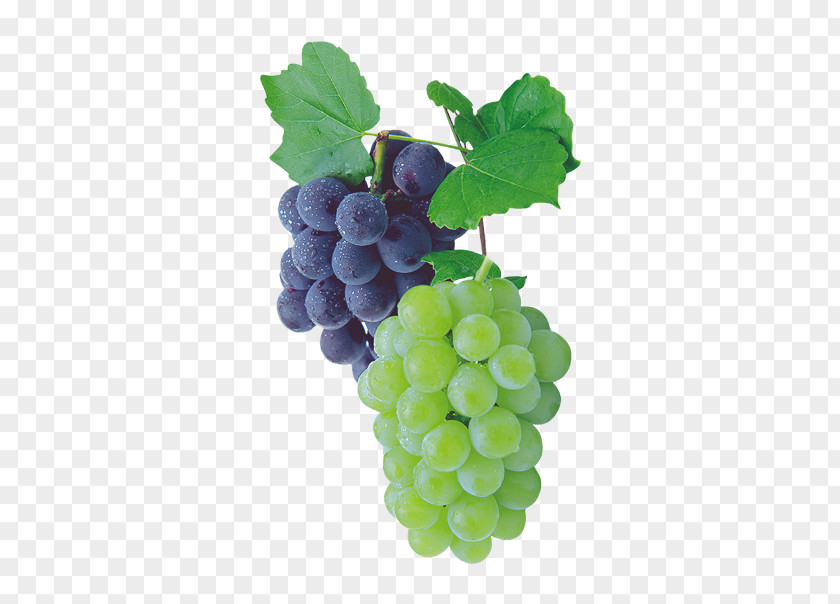 Two Bunches Of Grapes Sultana Kyoho Grape Raceme PNG