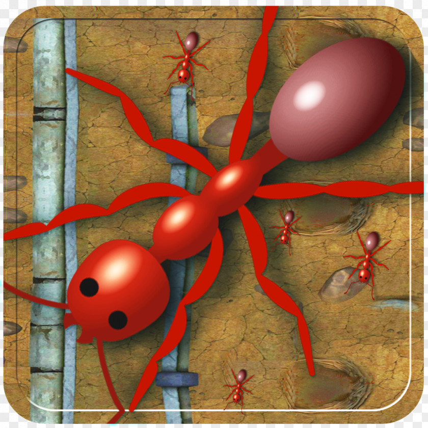 Ant Insect IPod Touch Pest App Store Organism PNG