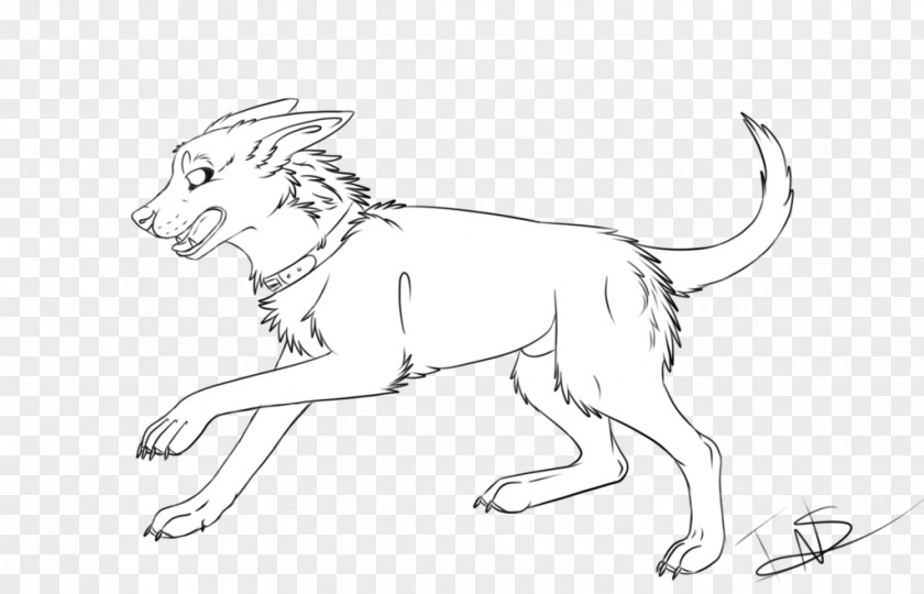 Lion Line Art Cat Drawing Wildlife PNG