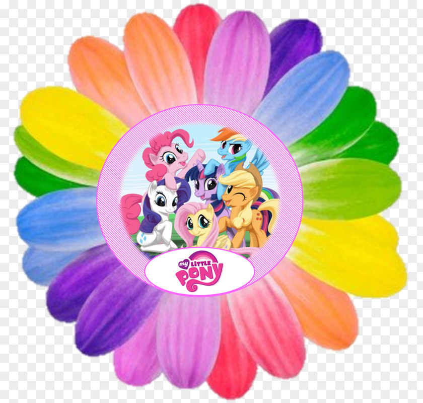 My Little Pony Birthday Wedding Invitation Rainbow Dash Party PNG