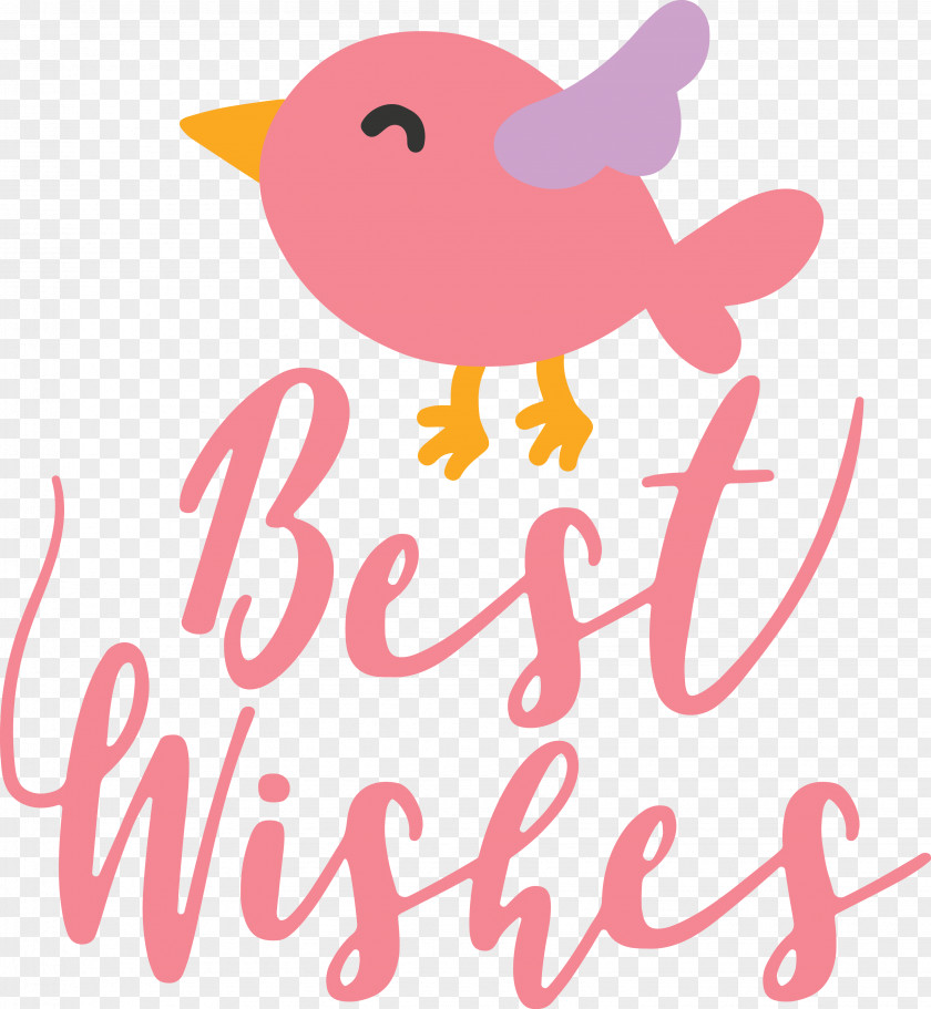 Birds Logo Cartoon Line Beak PNG