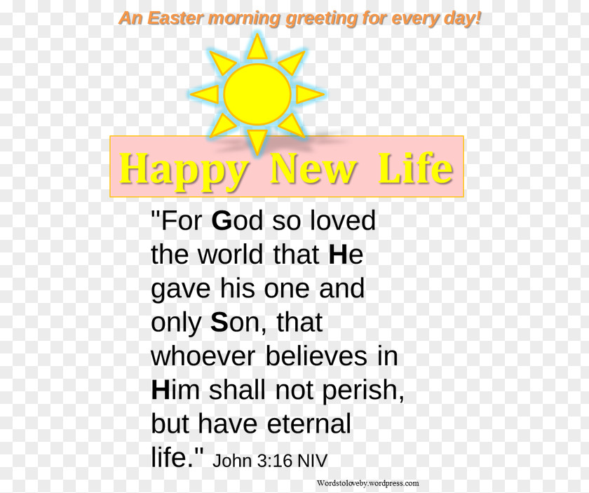 Easter Day Paper Line Organism Font Point PNG