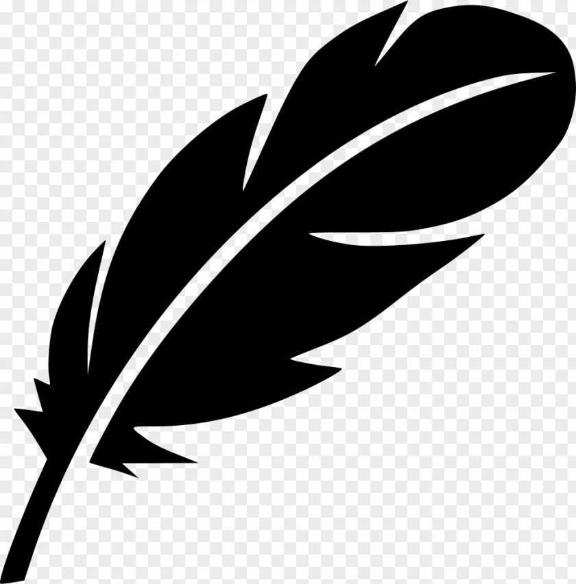 Fountain Pen Feather Quill Clip Art PNG