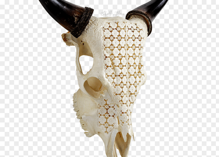 Skull Flower Garden Bone Horn PNG