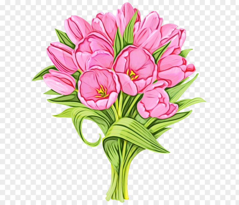 Tulip Bouquet Flower Flowering Plant Cut Flowers Pink PNG
