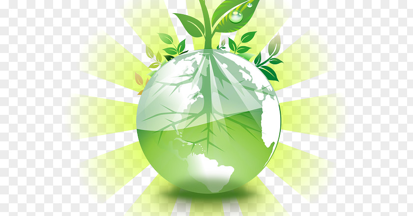 Waste Earth Natural Environment Environmental Protection Pollution Saving The PNG