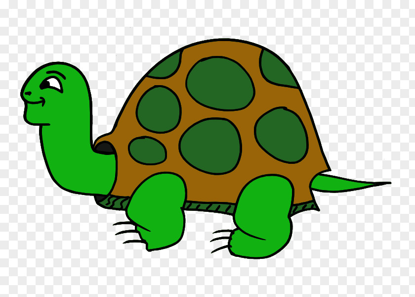 Cartoon Turtle Image Clip Art PNG