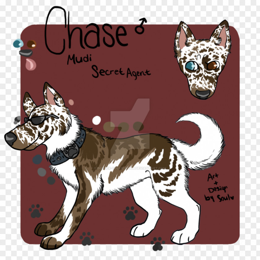 Cat Dog Breed Paw PNG