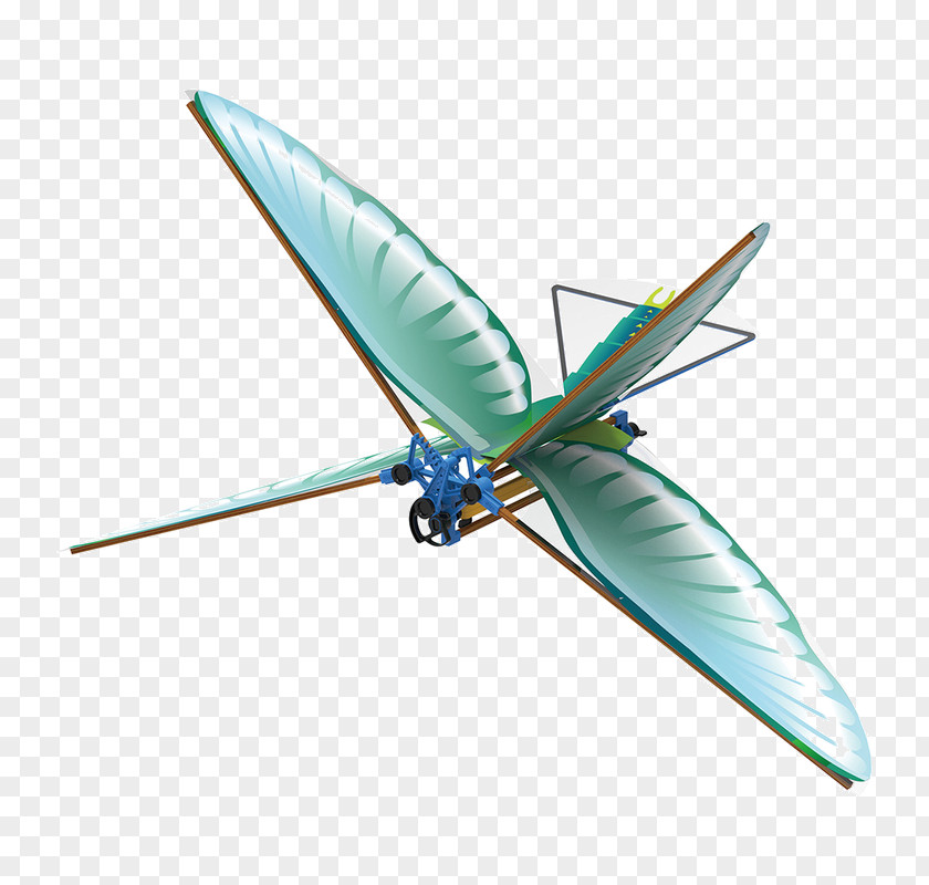 Creative Birds Insect Wing Ornithopter Bird Flight PNG