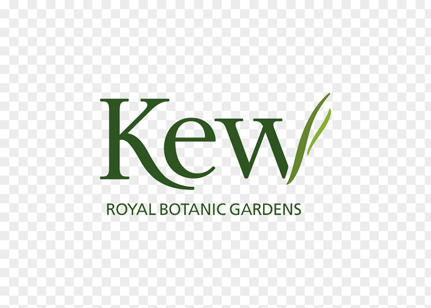 Point Takeaway Royal Botanic Gardens, Kew Gardens Botanical Garden Hanging Of Babylon PNG