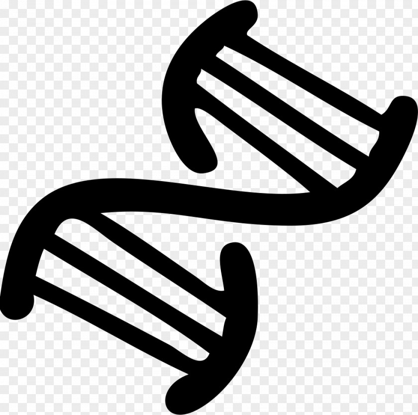Biotechnology Icon Clip Art DNA Nucleic Acid Double Helix Image PNG