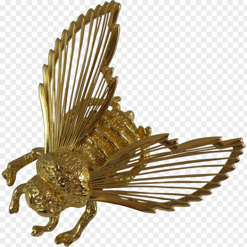 Brooch Insect Pollinator Pest PNG