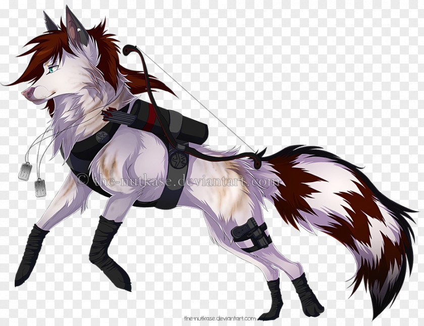 Dog Pony Red Wolf Puppy Horse PNG