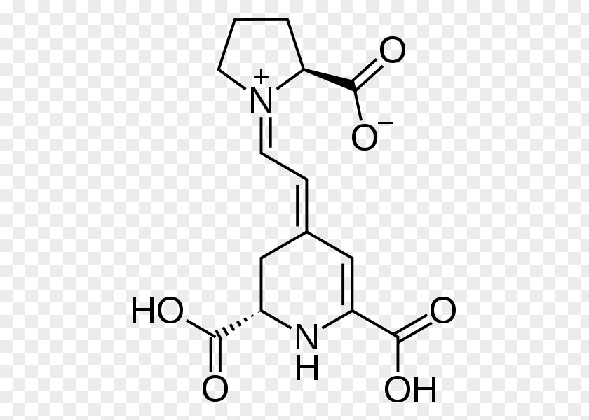 Essential Amino Acid Amine Aspartic PNG