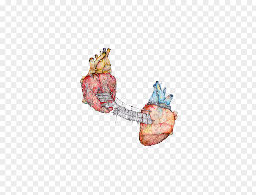 Season 4Anatomical Heart Sherlock Holmes Anatomy PNG