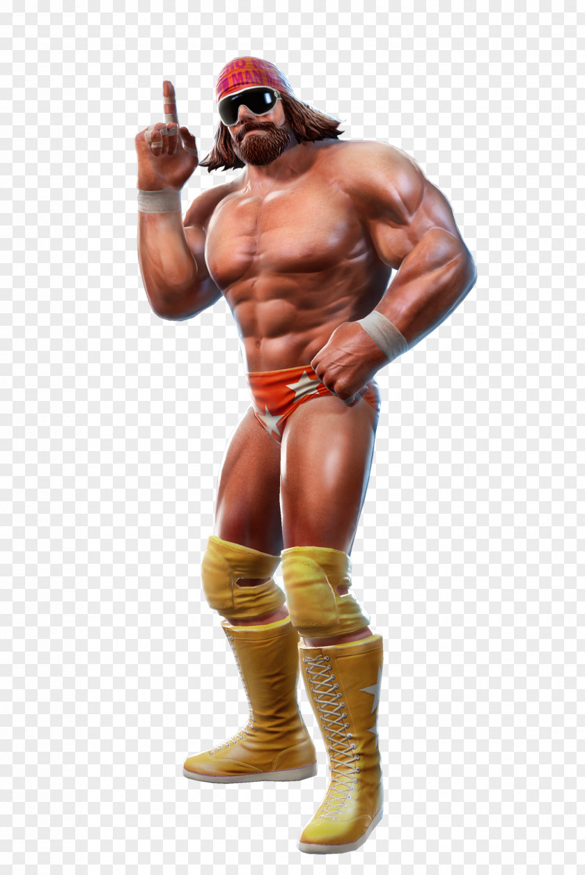 WWE All Stars Legends Of WrestleMania 13 12 SmackDown Vs. Raw 2008 PNG of vs. 2008, Randy Savage File clipart PNG