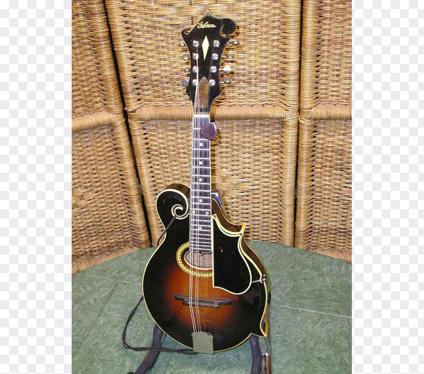 Acoustic Guitar Acoustic-electric Cavaquinho Banjo Cuatro PNG
