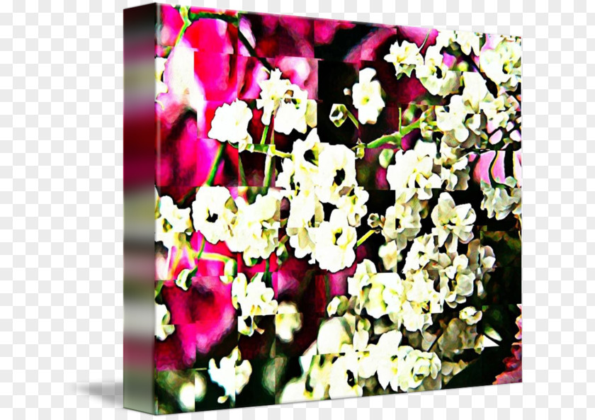 Baby Breath Cut Flowers Floristry Floral Design PNG