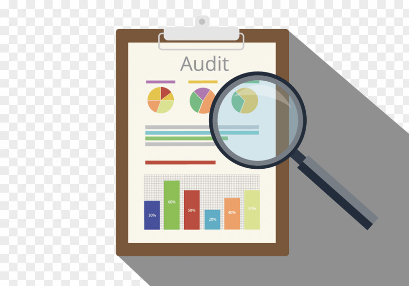 Business Auditor's Report Service PNG
