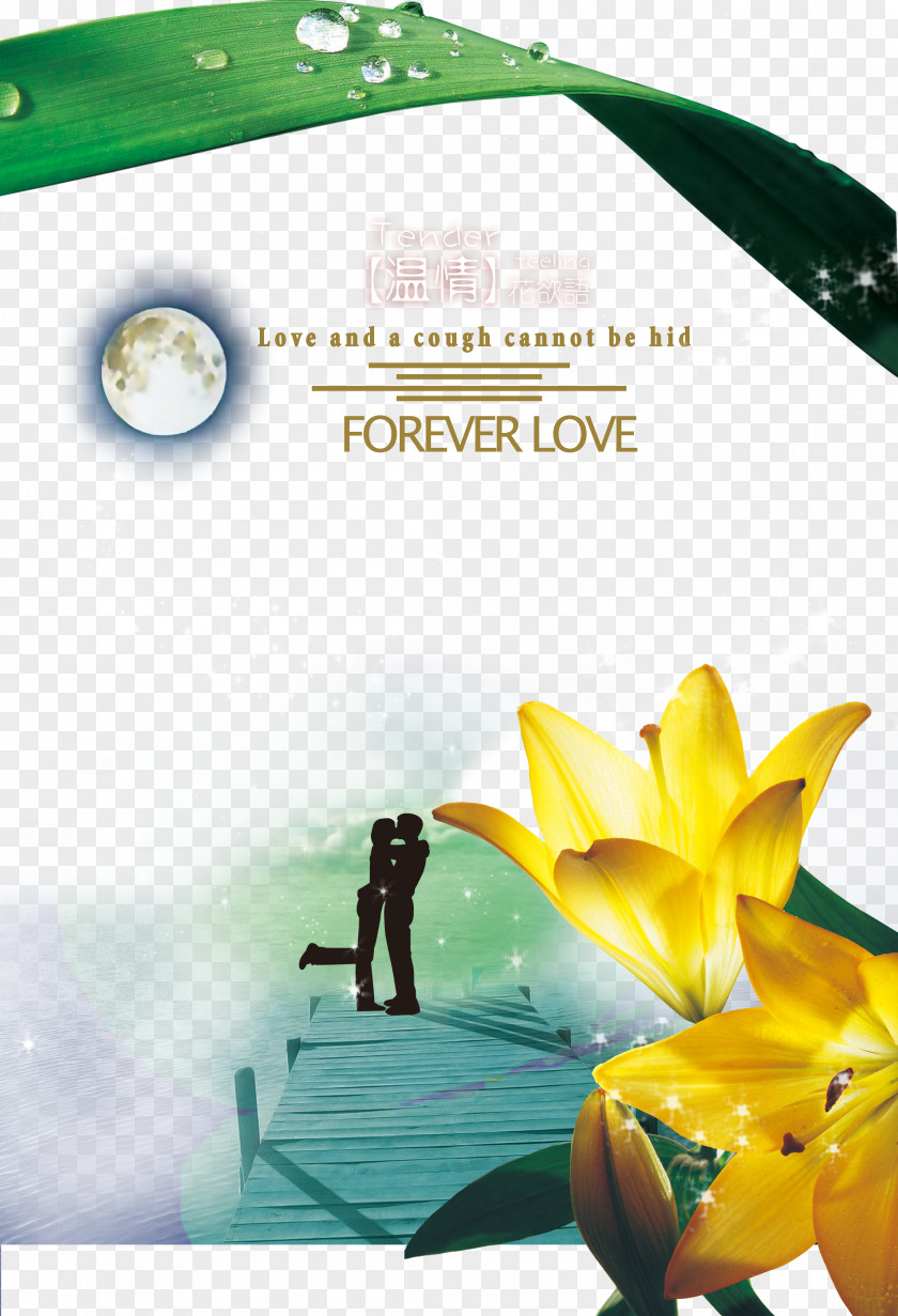 Elixir Of Love Posters Psd PNG