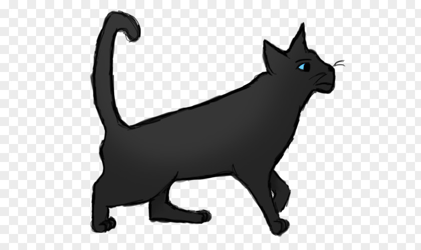 Kitten Whiskers Domestic Short-haired Cat Black Dog PNG