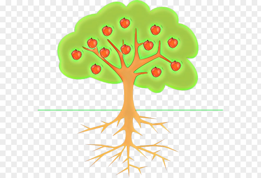 Symbol Plant Stem Leaf Tree PNG
