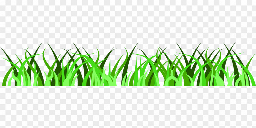 Grass Animated Scavenger Hunt Zoo Lion Clip Art PNG