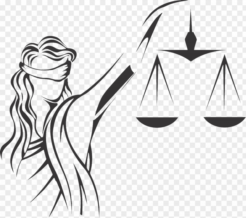 Lawyer Positive Law Justice Themis PNG