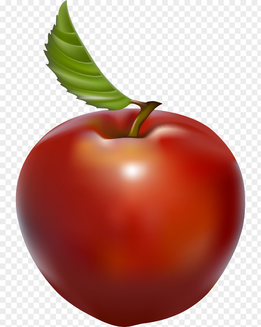 Tomato Watery Rose Apple Barbados Cherry PNG