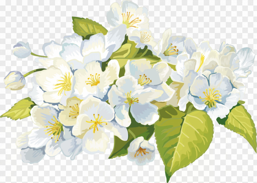 White Flower Animation Garden Roses PNG