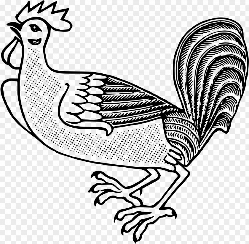 Big Cock Rooster Chicken Bird Fowl Clip Art PNG