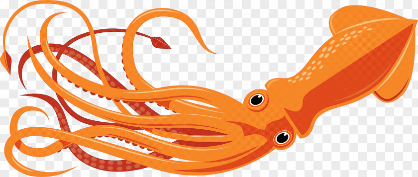 Orange PNG