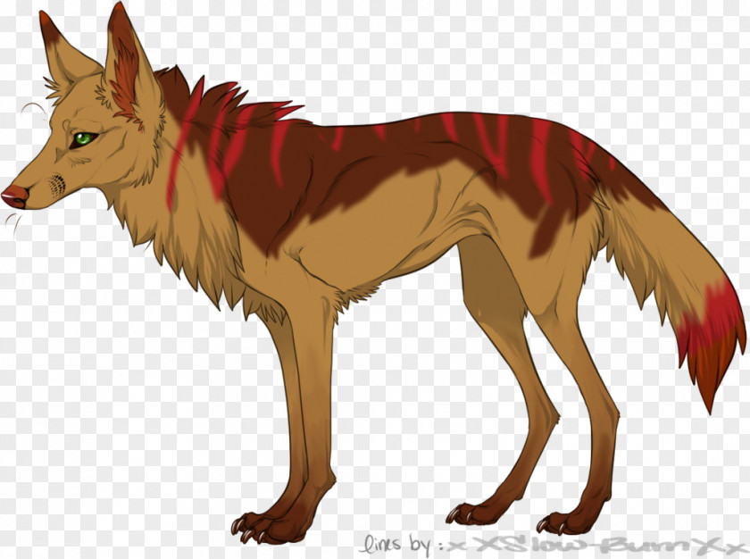 Painting Red Fox Coyote Drawing Gray Wolf PNG