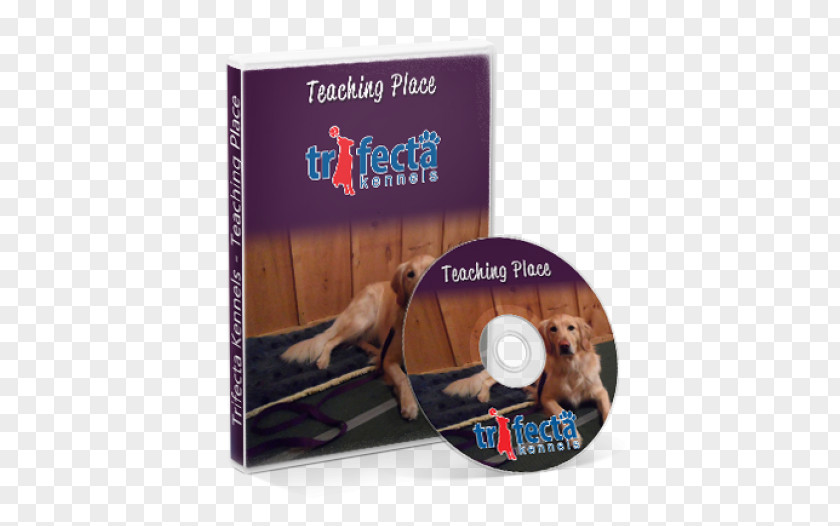Place To Teach Your Dog Come When Called Puppy DVD Training PNG