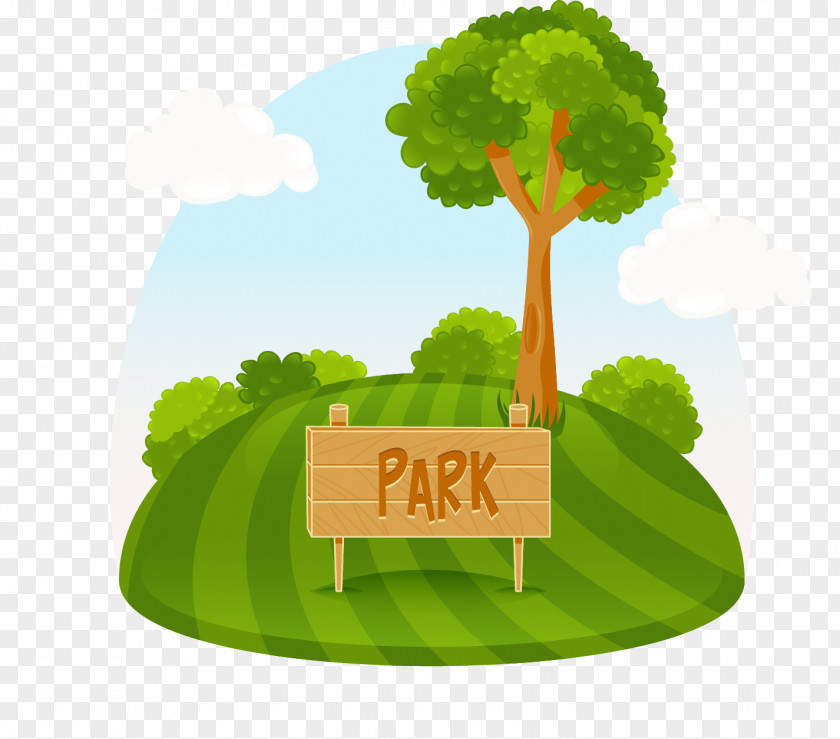 Vector Cartoon Painted Green Park Amusement Tree Illustration PNG