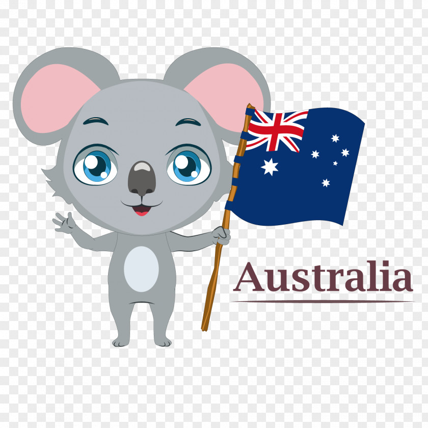 Australia Koala Illustration PNG