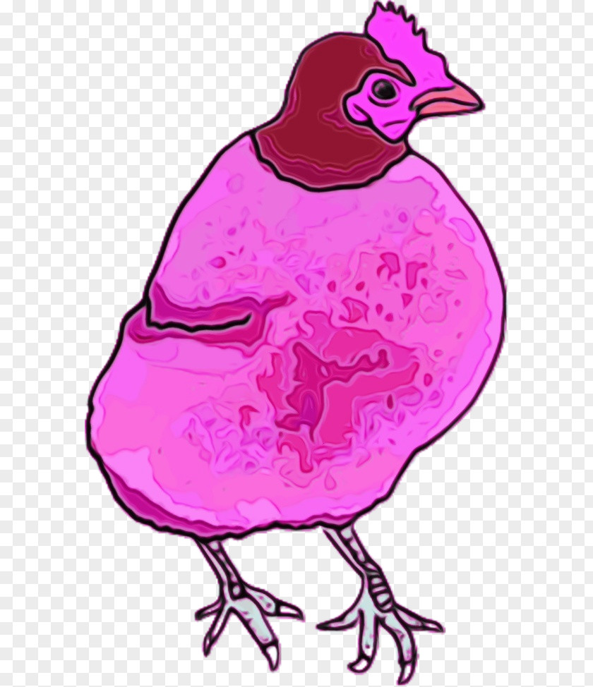 Drawing Magenta Bird Beak Pink PNG