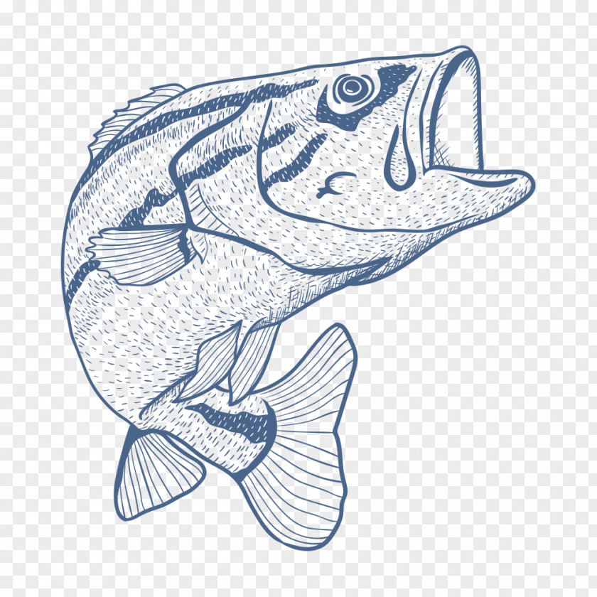 Fish Fishing Rod Seafood Drawing Sketch PNG