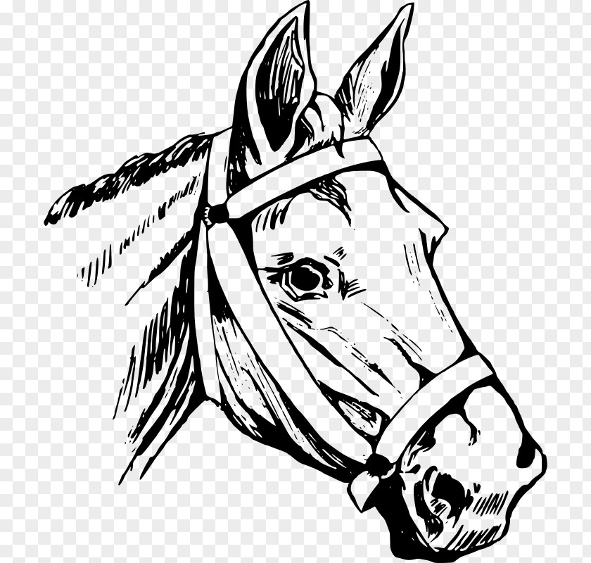 Horse Head Mask Equestrian Clip Art PNG