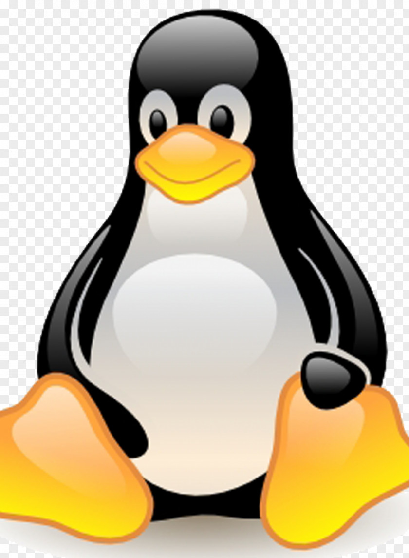 Linux Computer Software Operating Systems Windows Server PNG