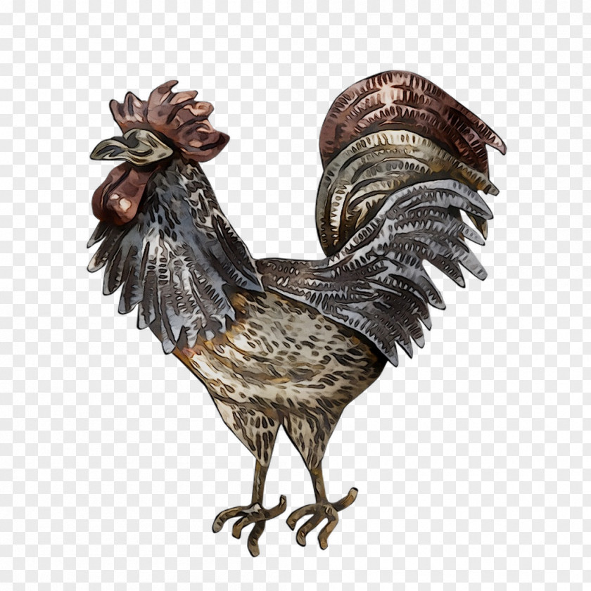 Rooster Pendant Chicken Earring Pin PNG
