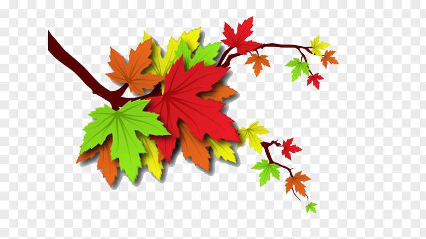 Autumn Leaves Leaf Illustration PNG