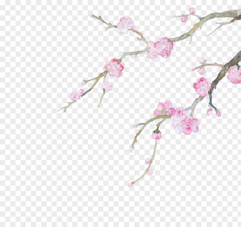 Chinese Wind Plum Watercolor Painting Illustration PNG
