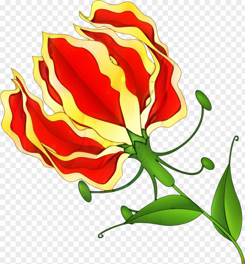 Fire Lily Plant Flowers Background PNG