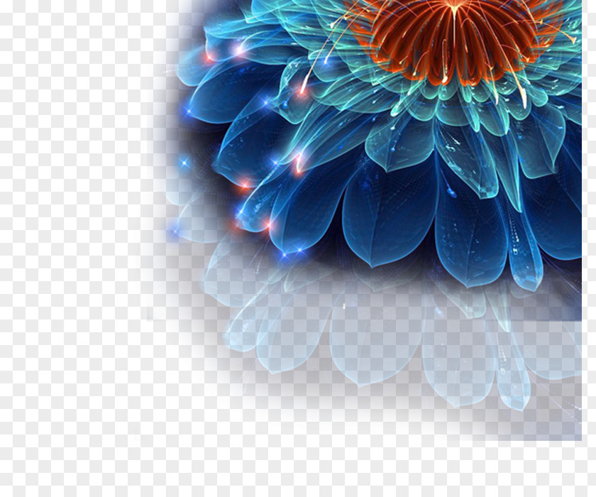 Flower Album Blue PNG