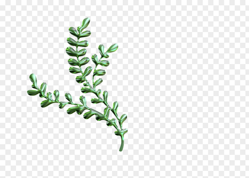 Leaf Twig Plant Stem Font PNG